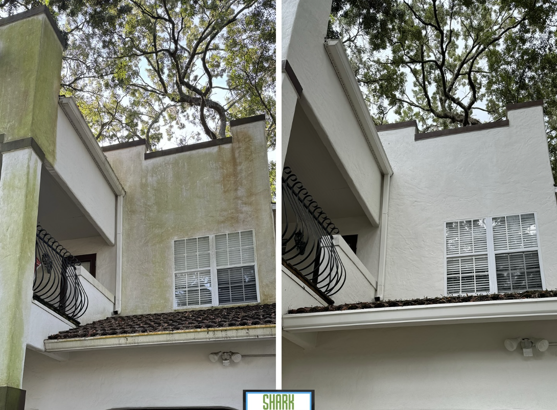 Before and after pressure washing example 1